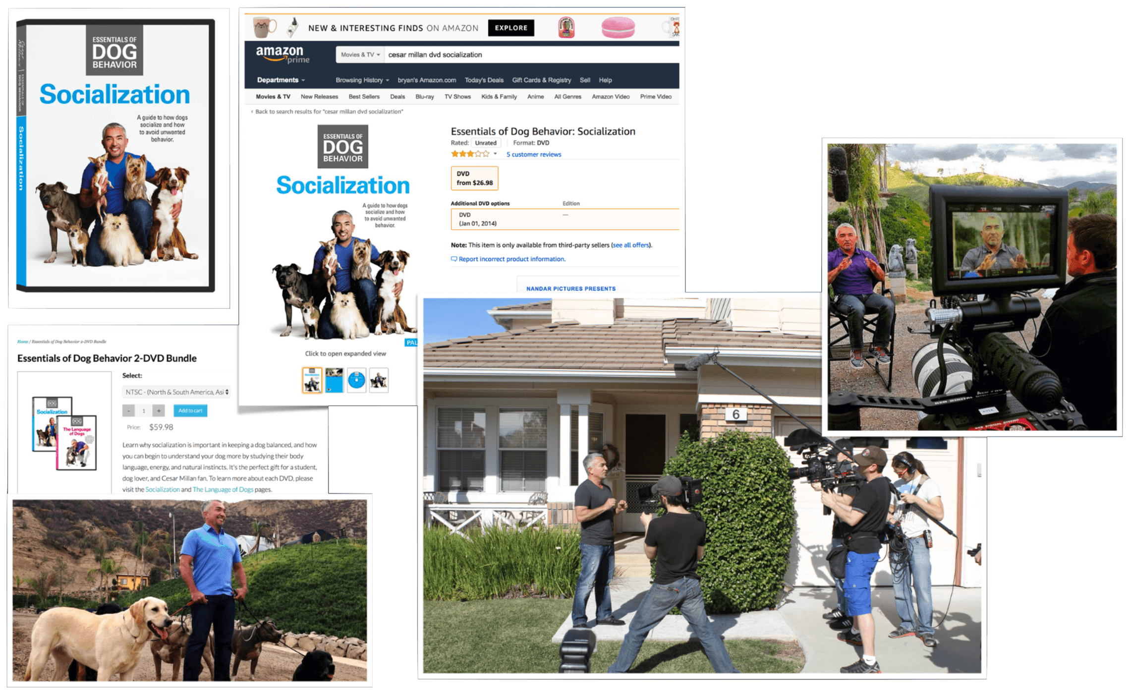 Cesar Millan training and educational videos